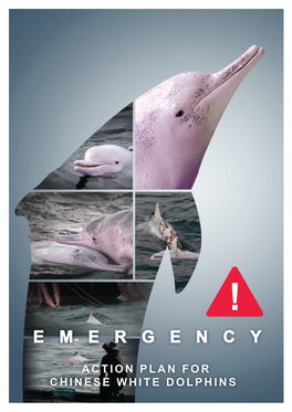 Emergency Action Plan for the Pearl River Delta Population of the Chinese White Dolphin (Sousa Chinensis) 2020