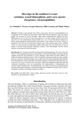 Micrelaps in the Southern Levant: Variation, Sexual Dimorphism, and a New Species (Serpentes: Atractaspididae)