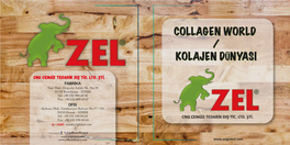 ZEL Export Cataloque