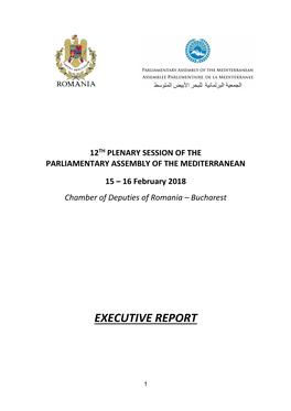 Executive Report