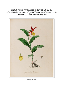 (Et Plus) De Sabot De Vénus Ou Les Représentations De Cypripedium Calceolus L