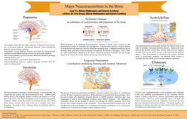 Major Neurotransmitters in the Brain Amy Yu, Illinois Mathematics and Science Academy Advisor: Dr