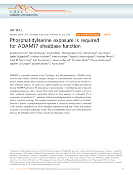 Phosphatidylserine Exposure Is Required for ADAM17 Sheddase Function