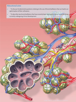 Educational Aims • to Discuss Fundamental Questions Relating to the Use of Bronchodilators That Can Lead to an Optimisation of Their Utilisation