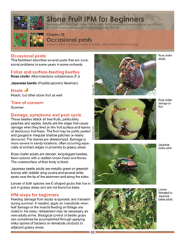 Occasional Pests: Japanese Beetle, Lecanium Scale, Rose Chafer, San