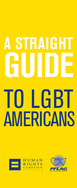 A Straight Guide to Lgbt Americans