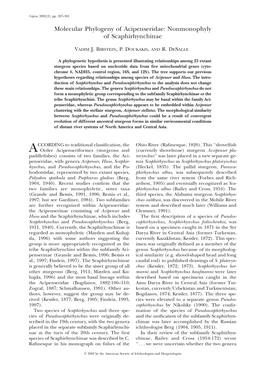 Molecular Phylogeny of Acipenseridae: Nonmonophyly of Scaphirhynchinae