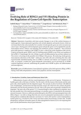Evolving Role of RING1 and YY1 Binding Protein in the Regulation of Germ-Cell-Speciﬁc Transcription