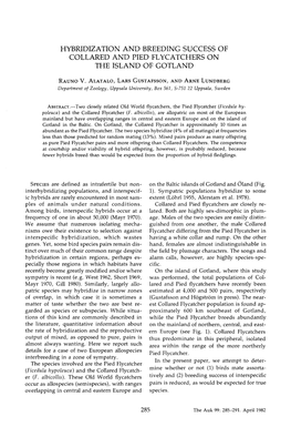 Hybridization and Breeding Success of Collared and Pied Flycatchers on the Island of Gotland