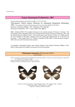 075 Genus Elymniopsis Fruhstorfer