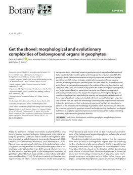 Morphological and Evolutionary Complexities of Belowground Organs in Geophytes