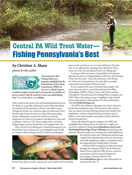 Central PA Wild Trout Water-Fishing Pennsylvania's Best