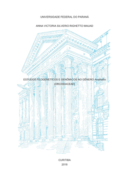 UNIVERSIDADE FEDERAL DO PARANÁ ANNA VICTORIA SILVERIO RIGHETTO MAUAD ESTUDOS FILOGENÉTICOS E GENÔMICOS NO GÊNERO Anathallis