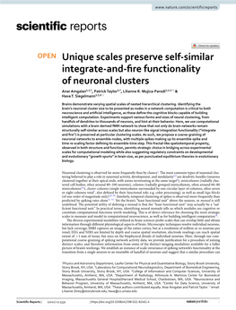 Unique Scales Preserve Self-Similar Integrate-And-Fire Functionality Of
