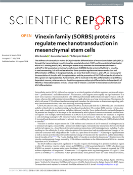 Vinexin Family (SORBS) Proteins Regulate Mechanotransduction In