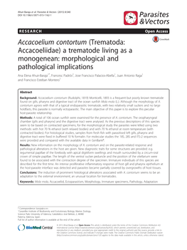 Accacoelium Contortum (Trematoda: Accacoeliidae) a Trematode Living As a Monogenean: Morphological and Pathological Implications