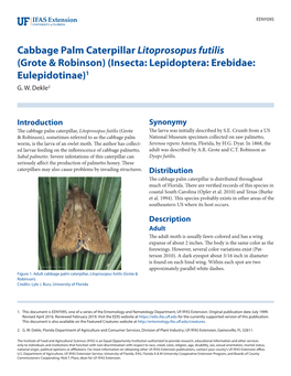 Cabbage Palm Caterpillar Litoprosopus Futilis (Grote & Robinson) (Insecta: Lepidoptera: Erebidae: Eulepidotinae)1 G