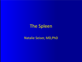 The Spleen.Pdf