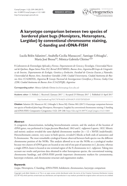 A Karyotype Comparison Between Two Species of Bordered Plant Bugs (Hemiptera, Heteroptera, Largidae) by Conventional Chromosome Staining, C-Banding and Rdna-FISH