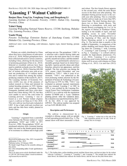 'Liaoning 1' Walnut Cultivar