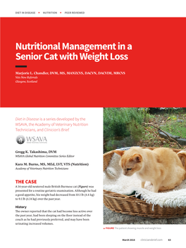 Nutritional Management in a Senior Cat with Weight Loss