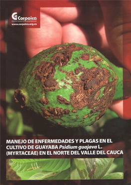 MANEJO DE ENFERMEDADES Y PLAGAS EN EL CULTIVO DE GUAYABA Psidium Guajava L