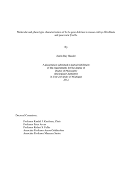 Molecular and Phenotypic Characterization of Ire1α Gene Deletion in Mouse Embryo Fibroblasts and Pancreatic Β Cells