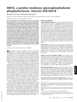 MIR16, a Putative Membrane Glycerophosphodiester Phosphodiesterase, Interacts with RGS16