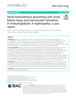 Renal Hemosiderosis Presenting with Acute Kidney Injury and Macroscopic Hematuria in Immunoglobulin a Nephropathy