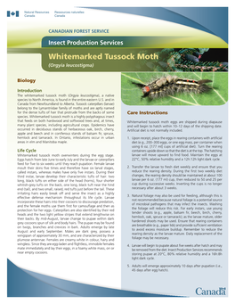 Insect Production Services. Whitemarked Tussock Moth