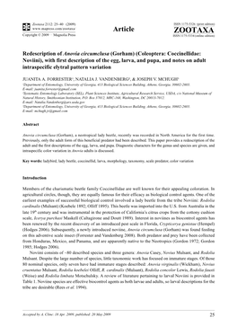 Zootaxa, Redescription of Anovia Circumclusa (Gorham) (Coleoptera