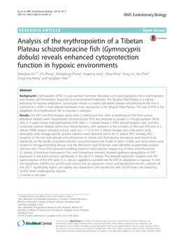 Analysis of the Erythropoietin of a Tibetan Plateau Schizothoracine Fish