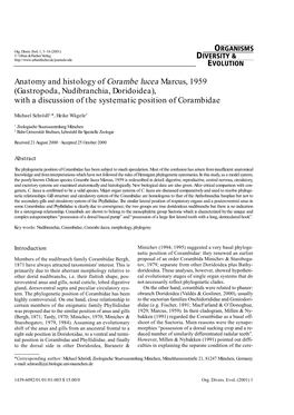 Anatomy and Histology of Corambe Lucea Marcus, 1959 (Gastropoda, Nudibranchia, Doridoidea), with a Discussion of the Systematic Position of Corambidae