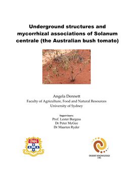 Solanum Centrale (The Australian Bush Tomato)