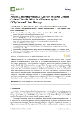 Potential Hepatoprotective Activity of Super Critical Carbon Dioxide Olive Leaf Extracts Against Ccl4-Induced Liver Damage