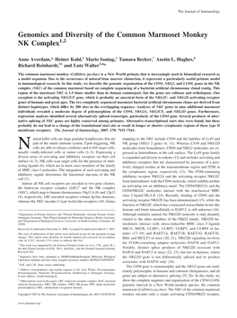 Genomics and Diversity of the Common Marmoset Monkey NK Complex1,2