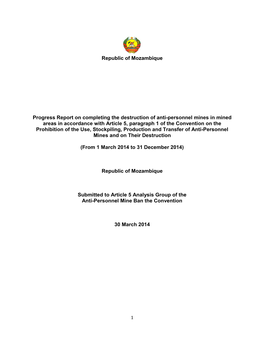 Mozambique Progress Report