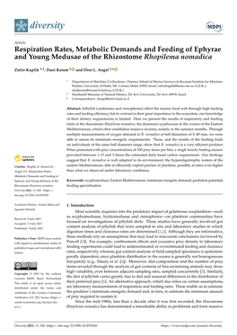 Respiration Rates, Metabolic Demands and Feeding of Ephyrae and Young Medusae of the Rhizostome Rhopilema Nomadica