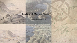 Birds and Marine Mammals