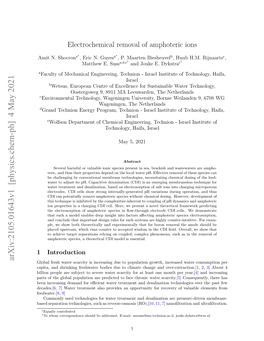 Electrochemical Removal of Amphoteric Ions