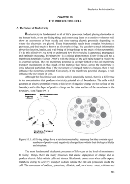 The Bioelectric Cell