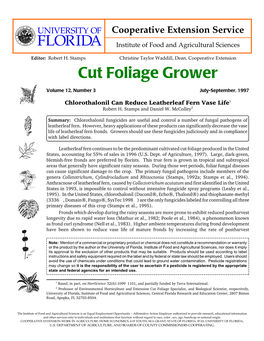 Cut Foliage Grower