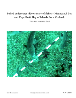 Baited Underwater Video Survey of Fishes – Maunganui Bay and Cape Brett, Bay of Islands, New Zealand
