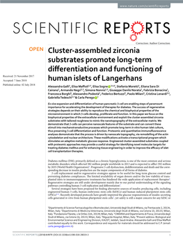 Cluster-Assembled Zirconia Substrates Promote Long-Term Differentiation and Functioning of Human Islets of Langerhans