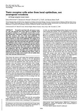 Neurogenic Ectoderm (Cell Lineage/Progenitor/Mosaic/Mouse) LESLIE M