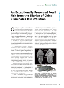 An Exceptionally Preserved Fossil Fish from the Silurian of China Illuminates Jaw Evolution