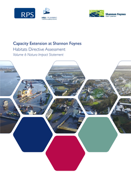 Capacity Extension at Shannon Foynes Habitats Directive Assessment Volume 6 Natura Impact Statement Capacity Extension at Shannon Foynes NIS