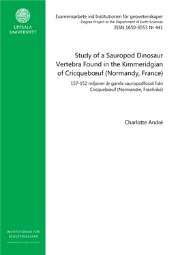 Study of a Sauropod Dinosaur Vertebra Found in The