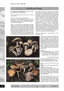 Profiles of Fungi 92 – 94