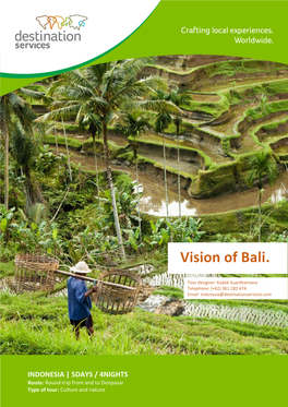 Vision of Bali